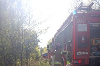 🛑Apelujemy o zachowanie szczególnej ostrożności podczas przebywania w kompleksach leśnych – ściółka jest obecnie bardzo sucha i podatna na zaprószenie ognia.