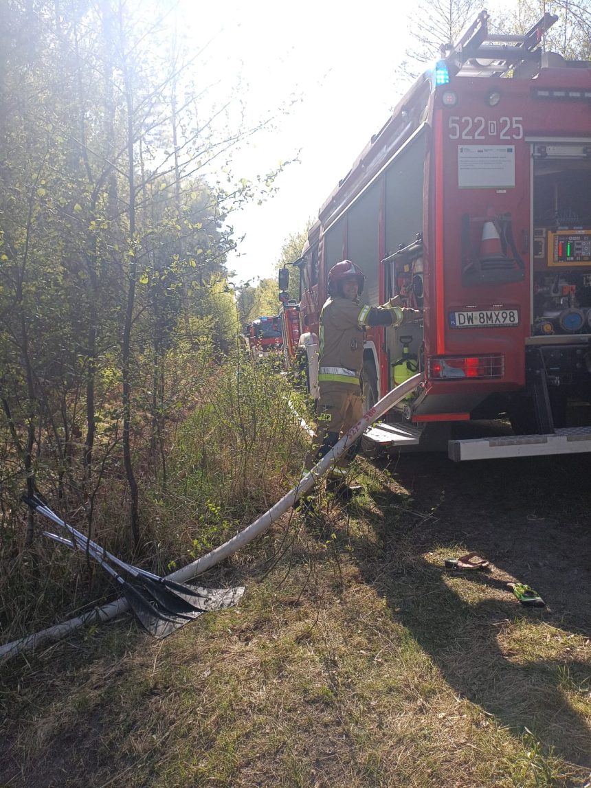 🛑Apelujemy o zachowanie szczególnej ostrożności podczas przebywania w kompleksach leśnych – ściółka jest obecnie bardzo sucha i podatna na zaprószenie ognia.